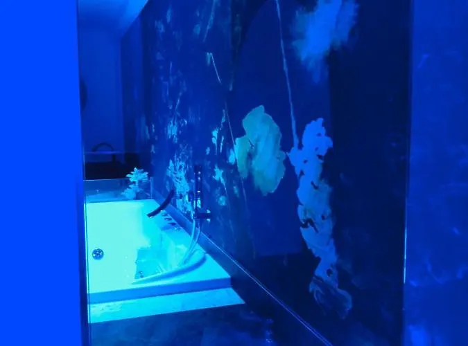 Hotel Luxury Superior