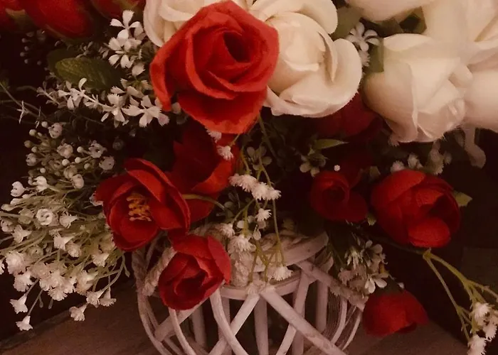 Luxury Superior Assisi